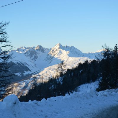 DSC_0484L